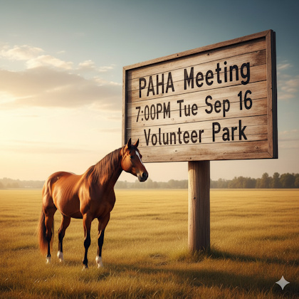 20250916-PAHA-Mtg.jpg