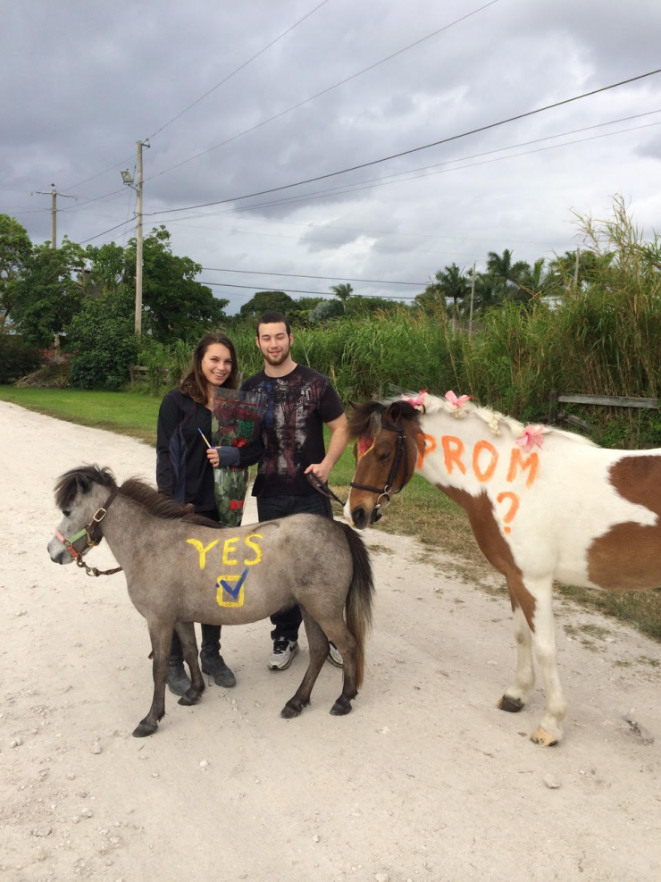 Barnyard Photo Contest Winners Plantation Acres Homeowners Association